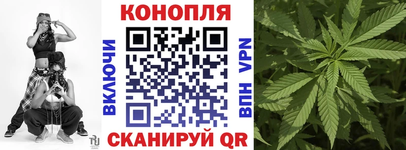 Наркошоп купить СОЛЬ  Бутират  Псилоцибиновые грибы  Гашиш  МЕФ  Белый