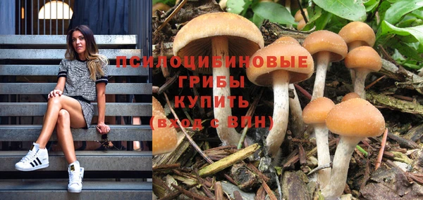 круглые Коряжма