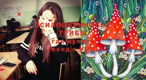 круглые Коряжма