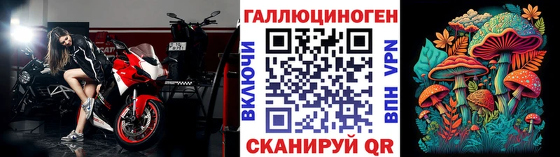 Галлюциногенные грибы Psilocybine cubensis  Купить где  Белый 